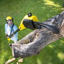 Best Aeration Services  in Mariposa, CA